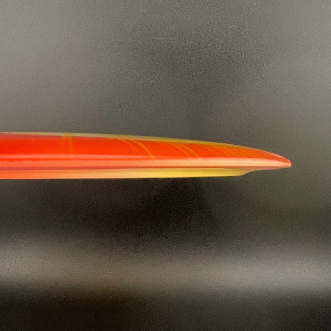 I-Dye Champion Tern