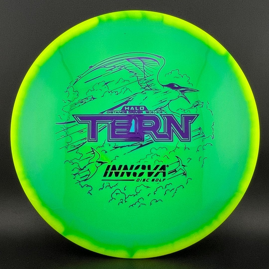 Halo Star Tern
