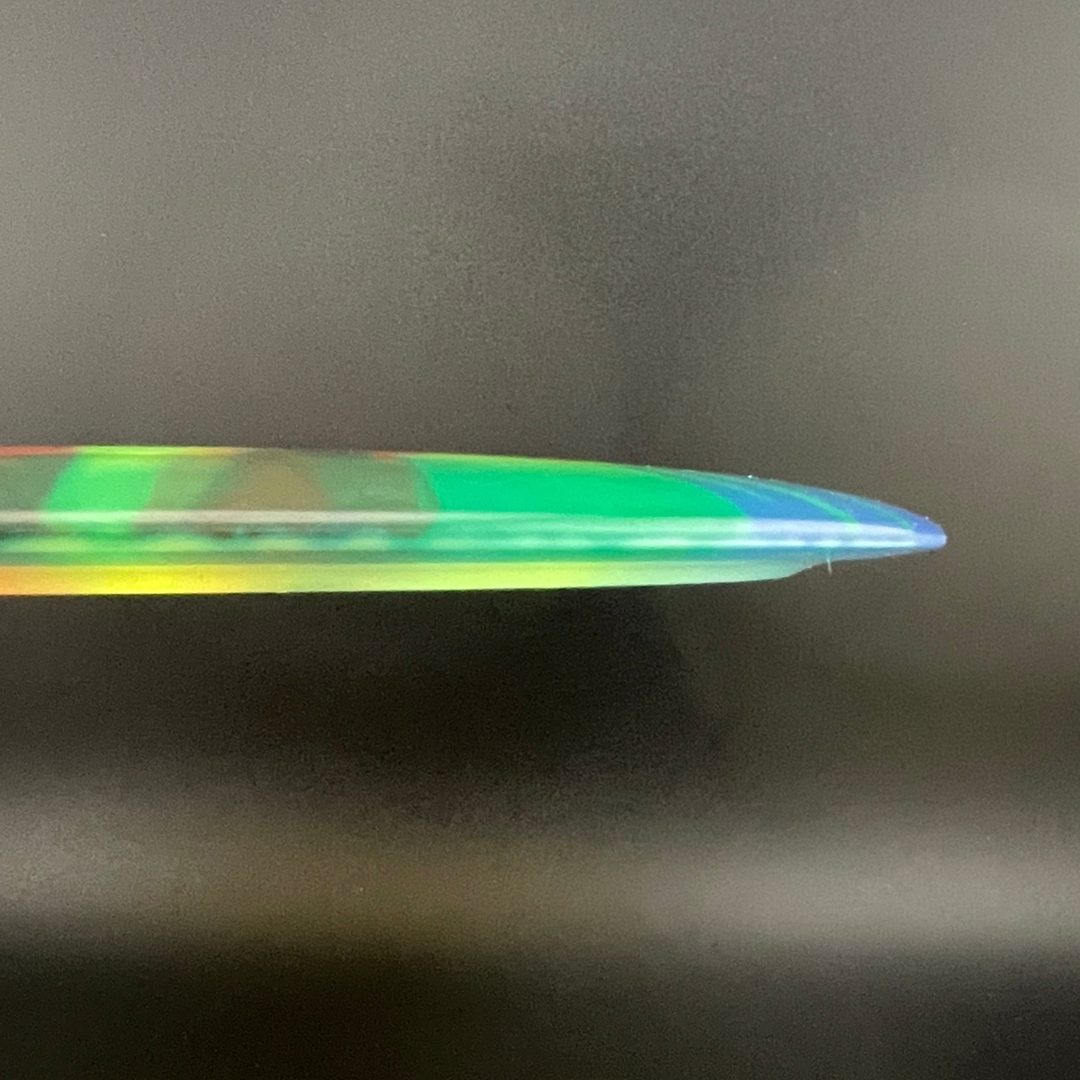 I-Dye Champion Tern