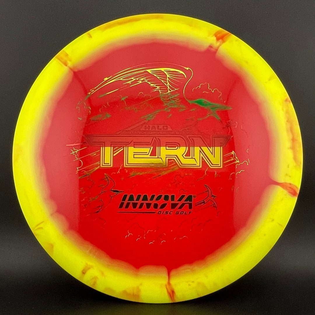 Halo Star Tern