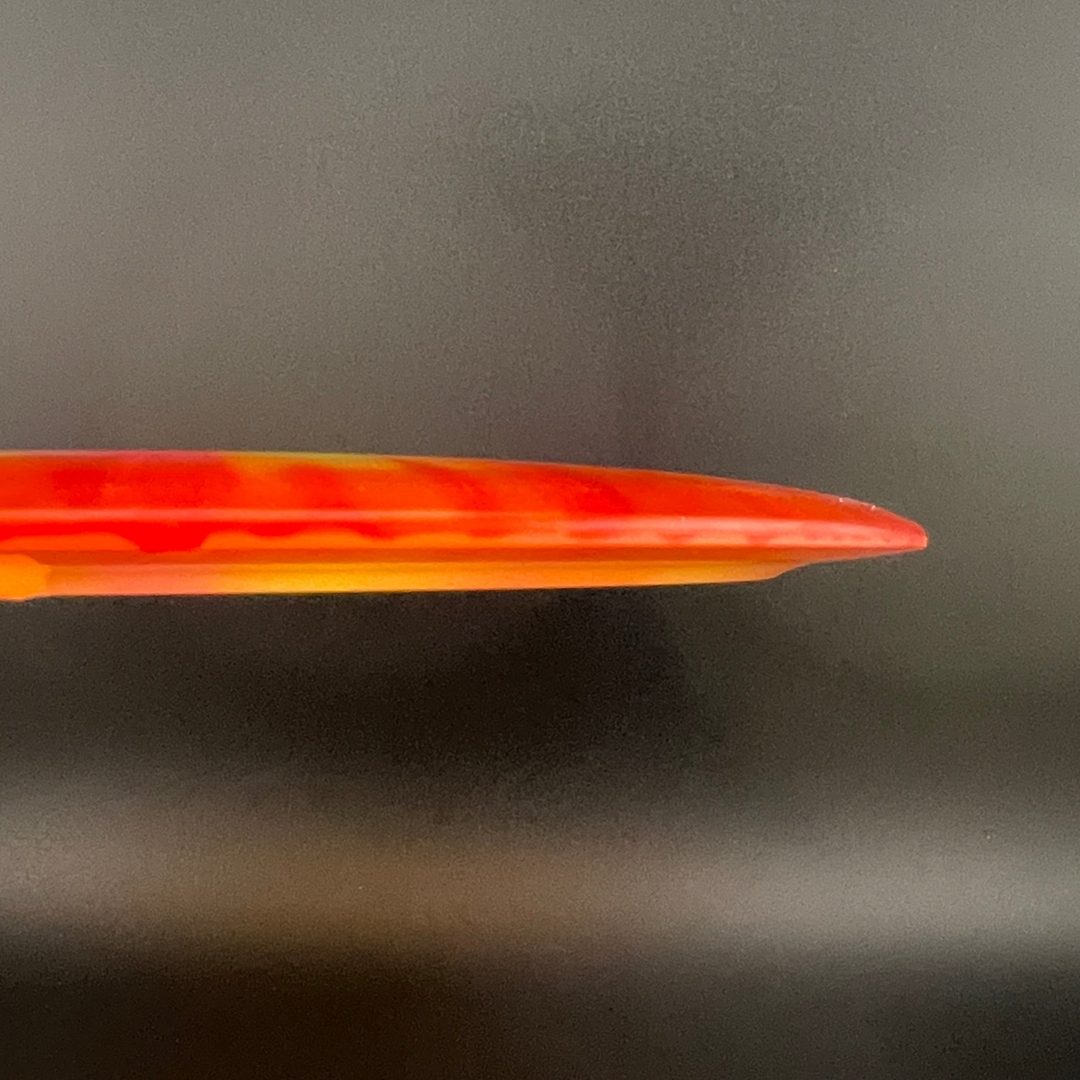 I-Dye Champion Tern