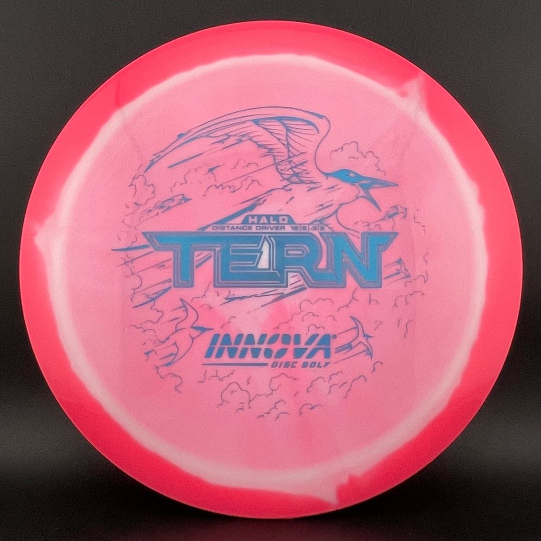 Halo Star Tern